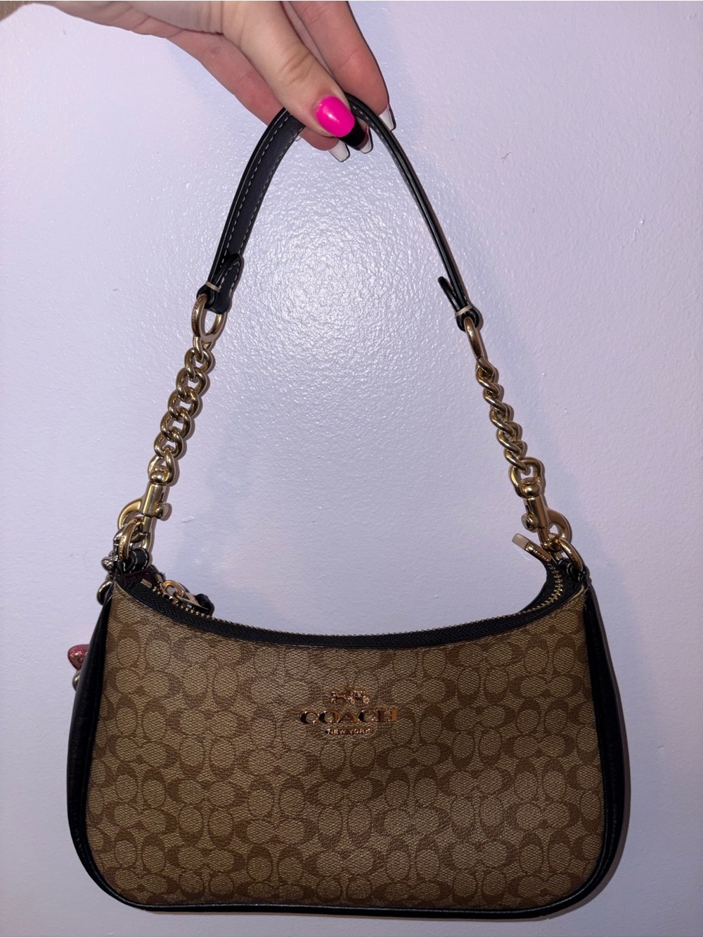 Coach Signature Teri Shoulder Bag